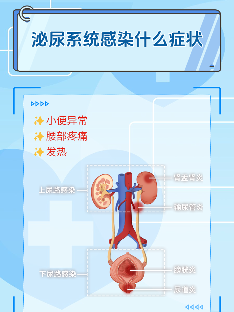 包皮手术挂什么科？这是一个常见的问题，很多人都会因为不了解而感到困惑。